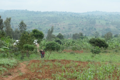 ruanda landscape