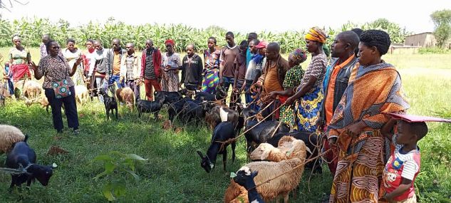 Villagers with goats and sheep