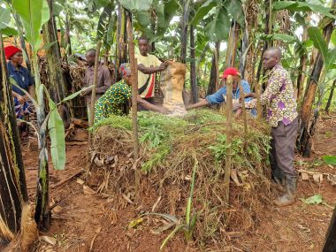 Compost production