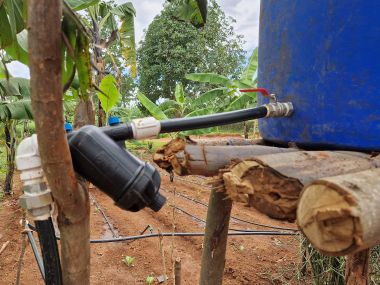 Drip irrigation